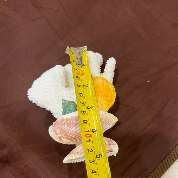 🛍️ 4 for $20 🛍️ Decorative Coral and Shell Display - Picture 3 of 3
